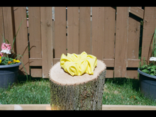 Load image into Gallery viewer, Sunshine
